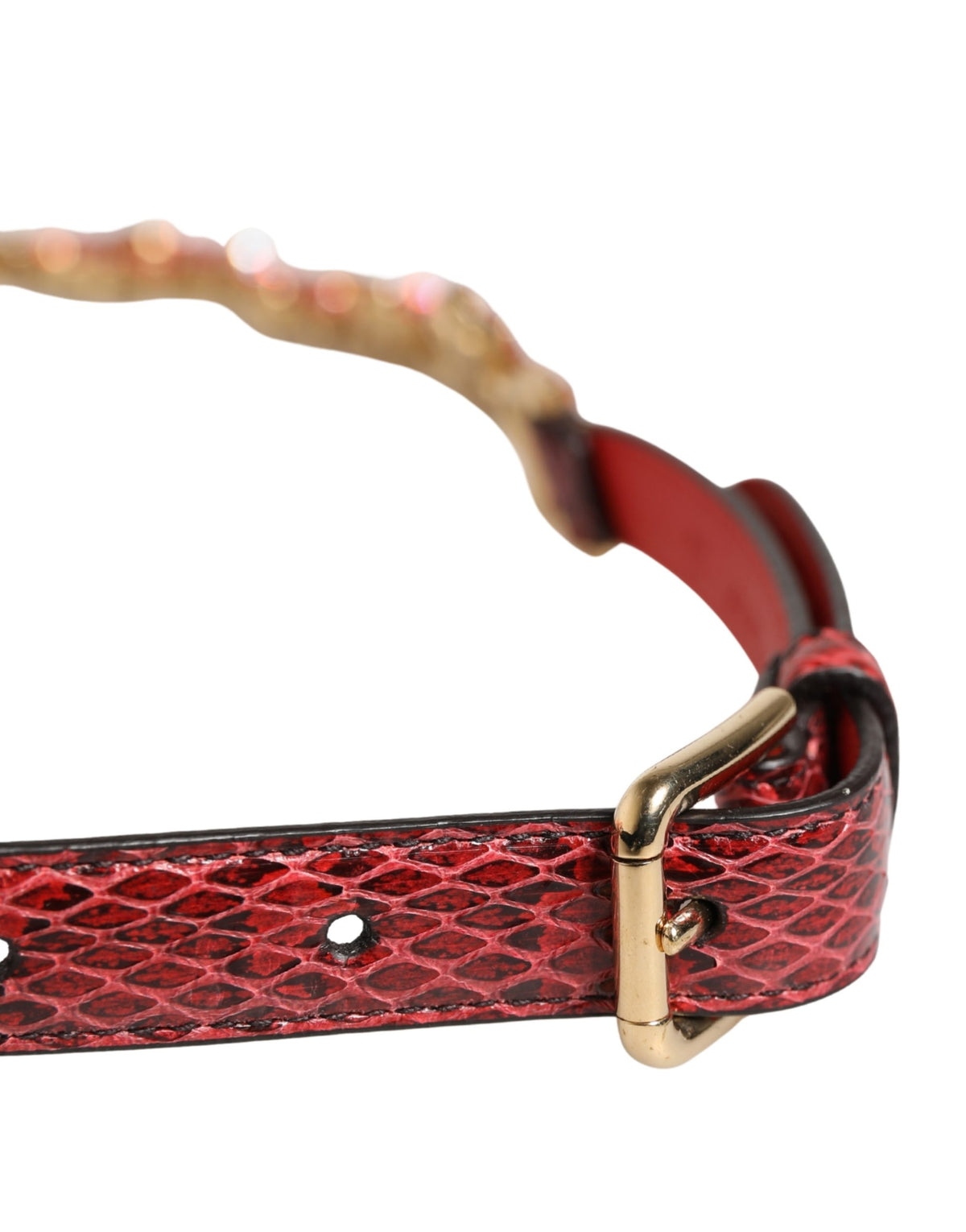 Dolce & Gabbana Red Daisy Crystal-Embellished Leather Waist Belt