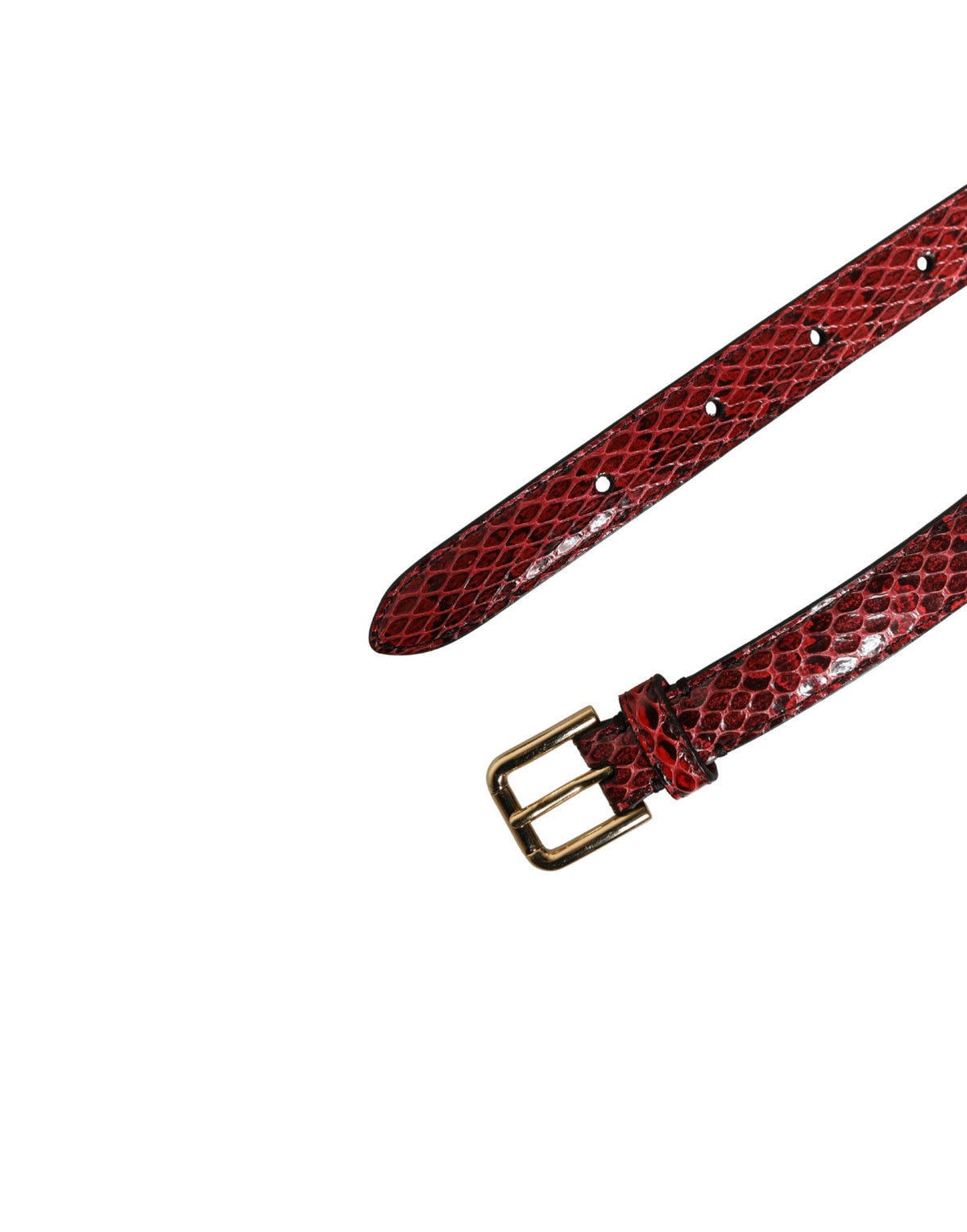 Dolce & Gabbana Red Daisy Crystal-Embellished Leather Waist Belt