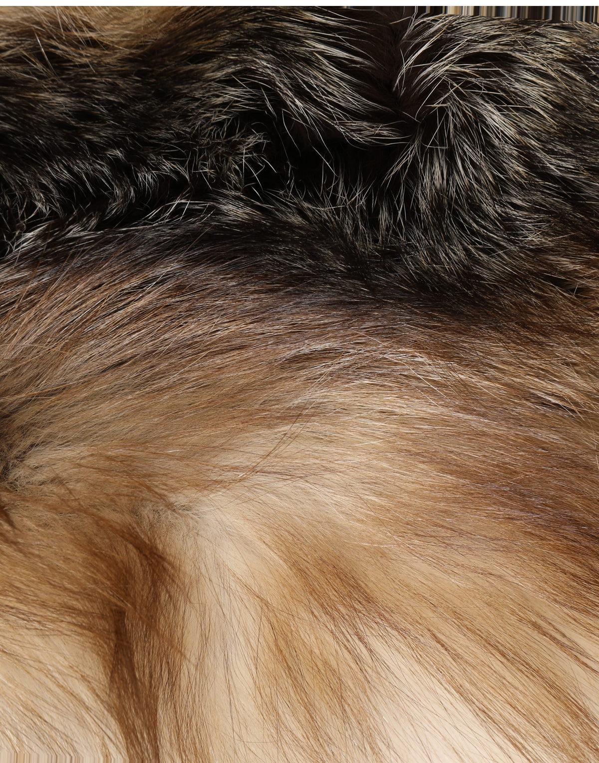 Dolce & Gabbana Brown Fox Fur Collar