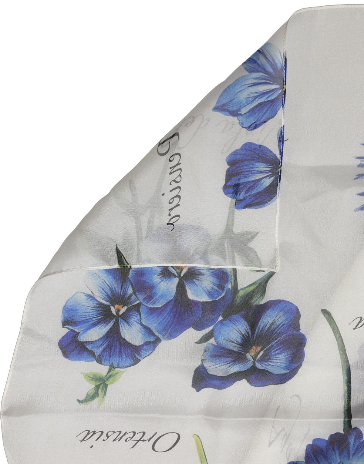 Dolce & Gabbana White Floral Silk Chiffon Stole