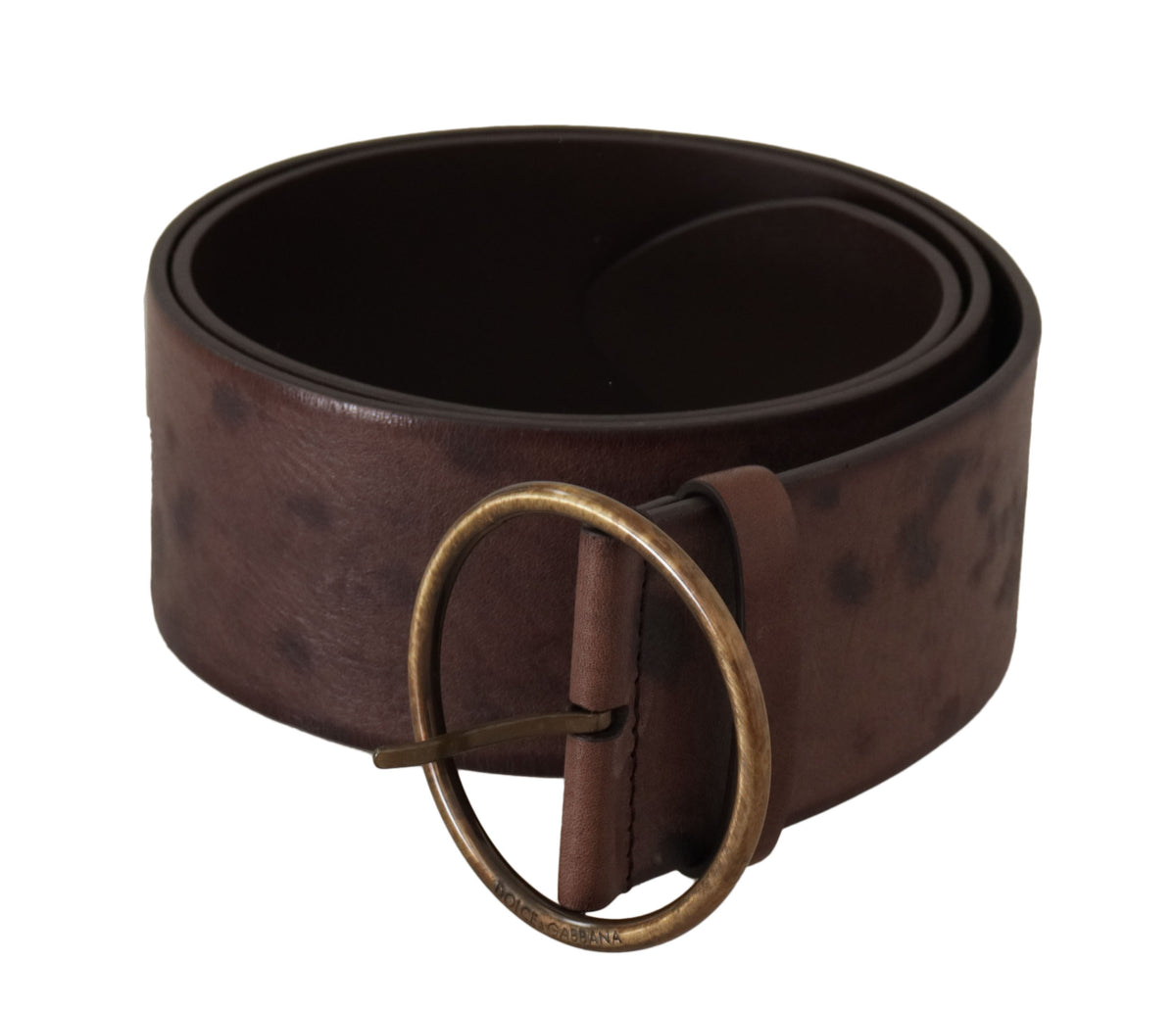 Dolce & Gabbana Dark Brown Calf Leather Round Buckle Waist Belt