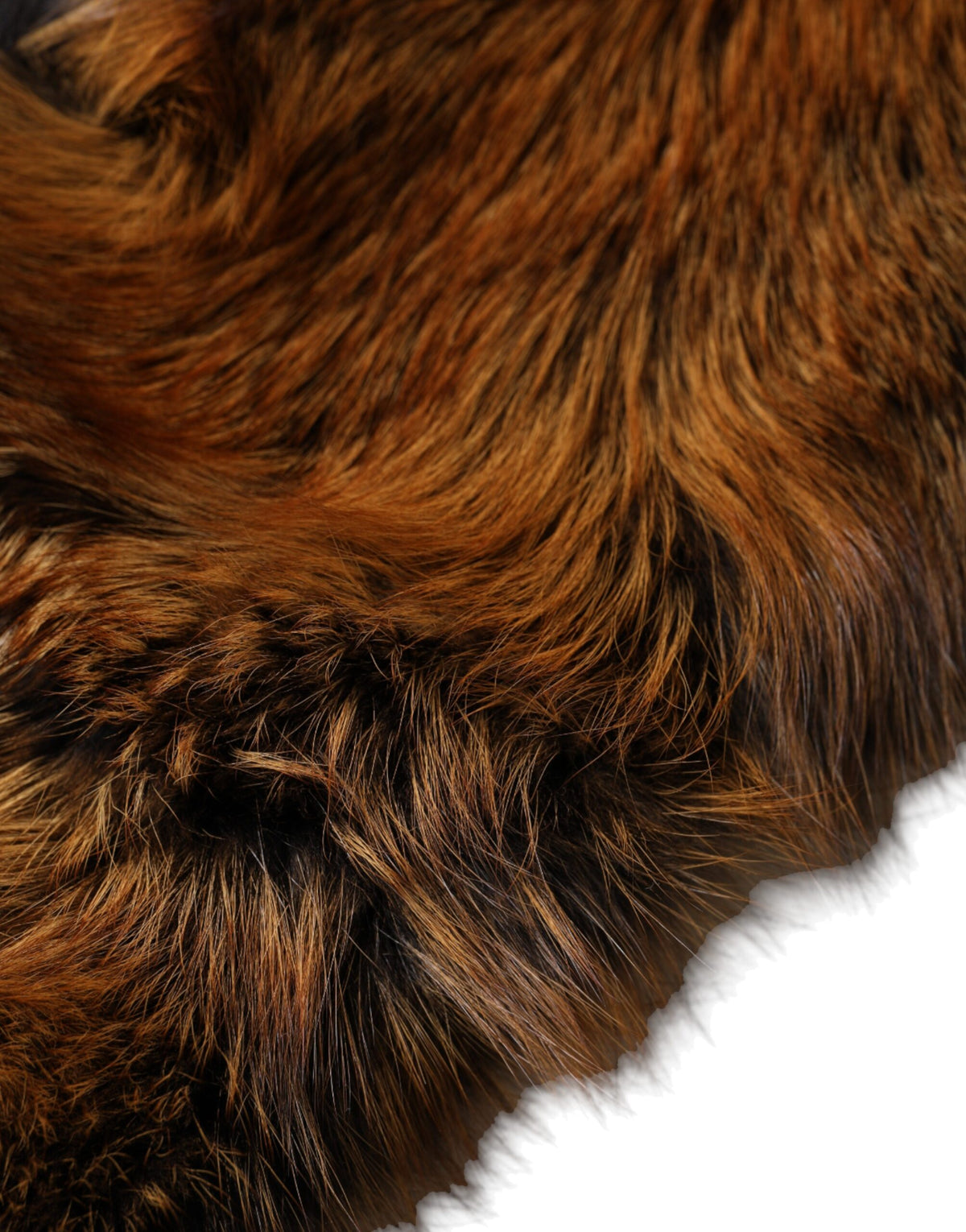 Dolce & Gabbana Brown Red Fox Fur Collar