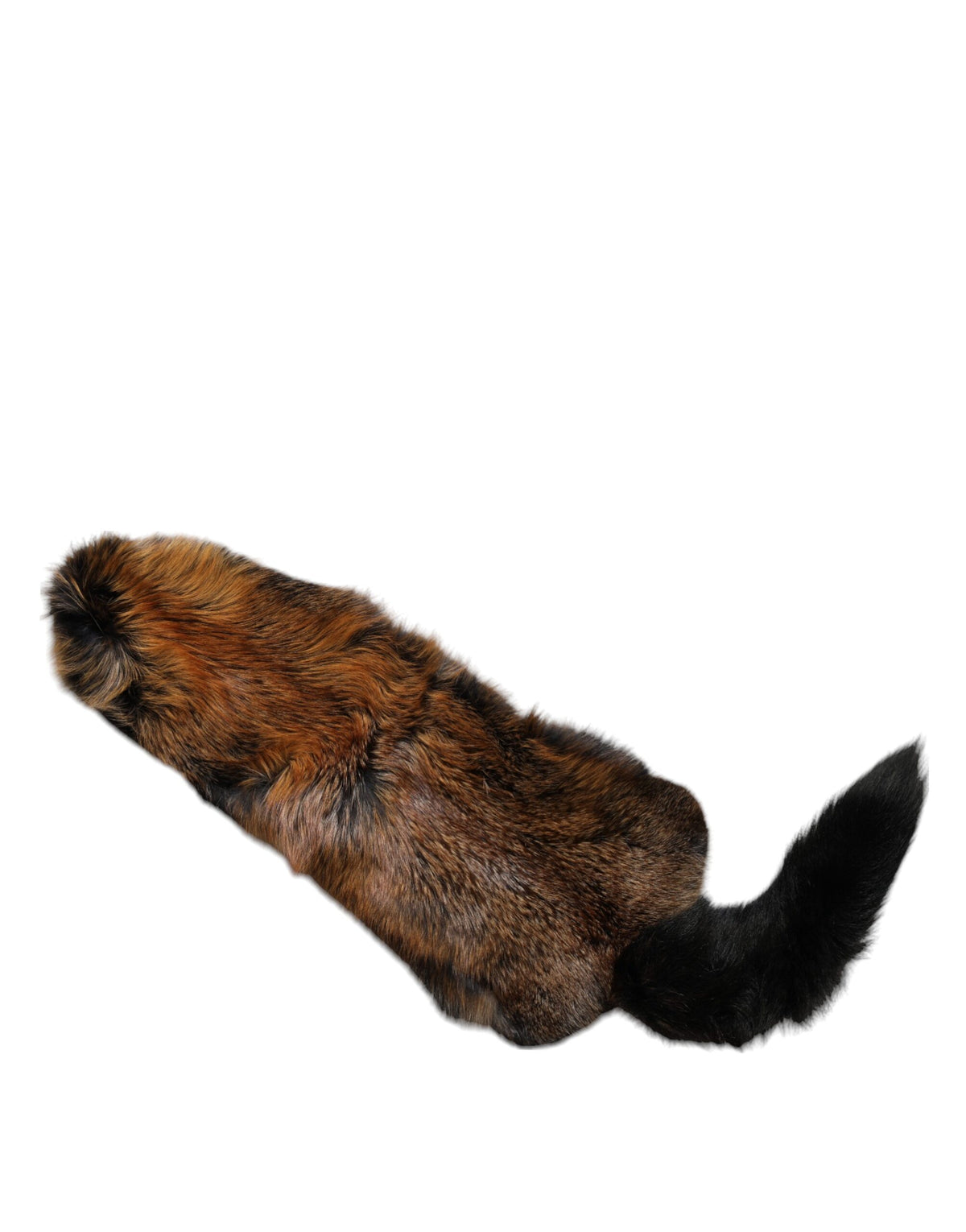 Dolce & Gabbana Brown Red Fox Fur Collar